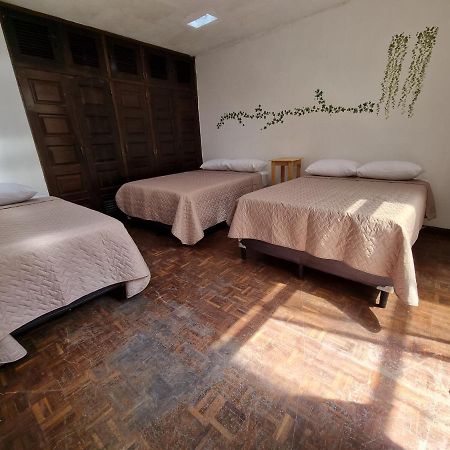 Central 10 Boutique Hostel Гватемала Экстерьер фото